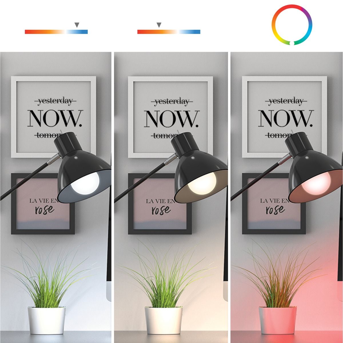 Lampadine progettate per renderti servizio 