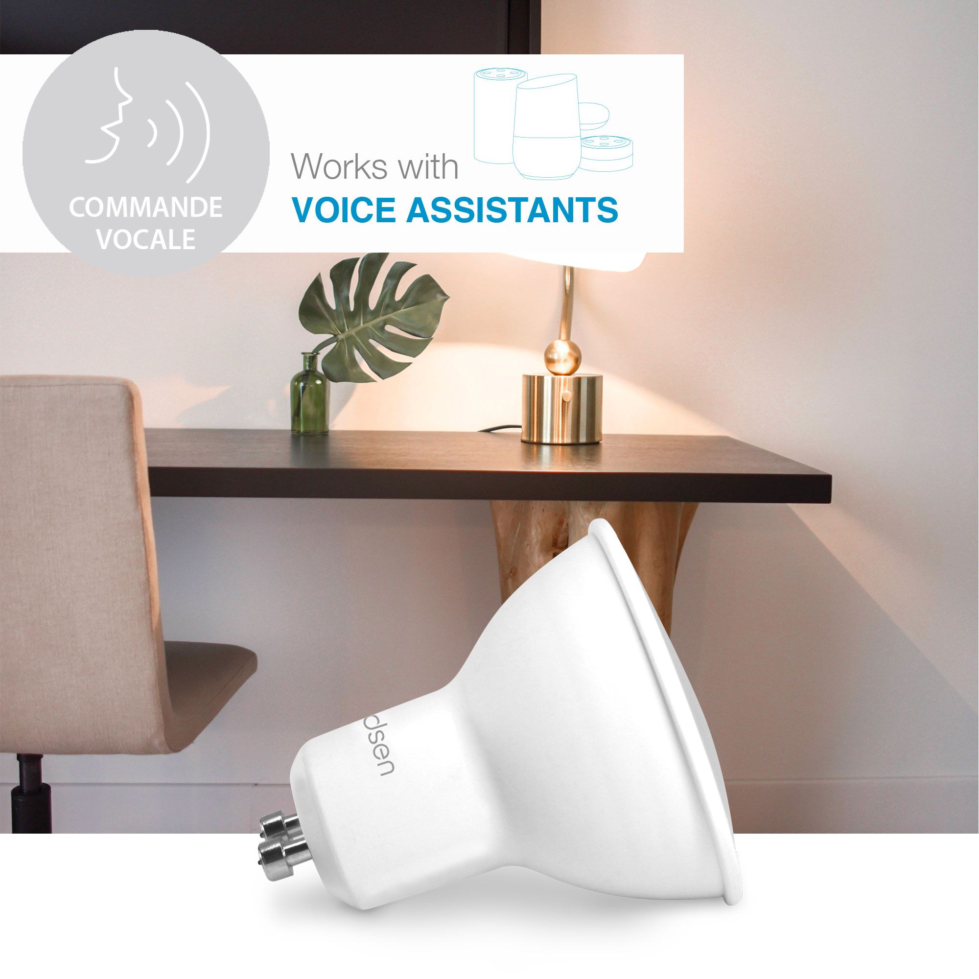 Compatibilità con Avidsen Home e l'assistente vocale