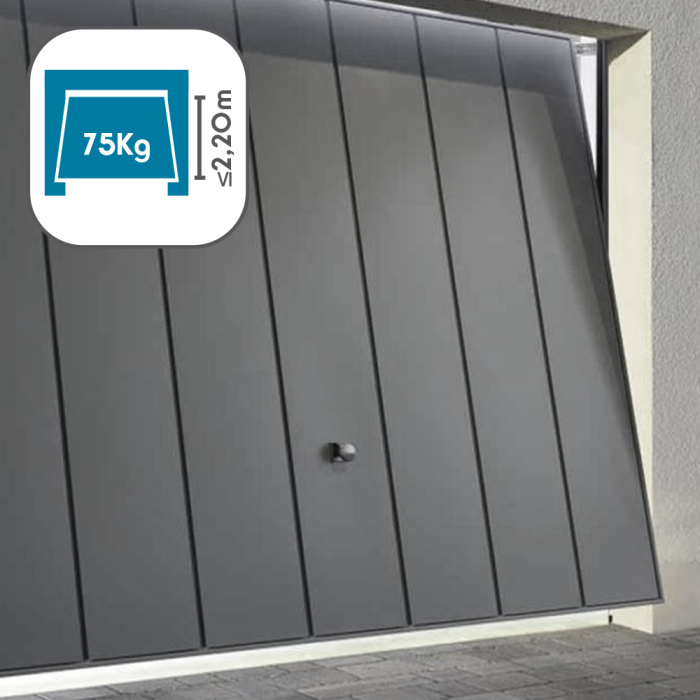 Automazione per porta garage basculante Avidsen STRÖMMA 600 - 114957
