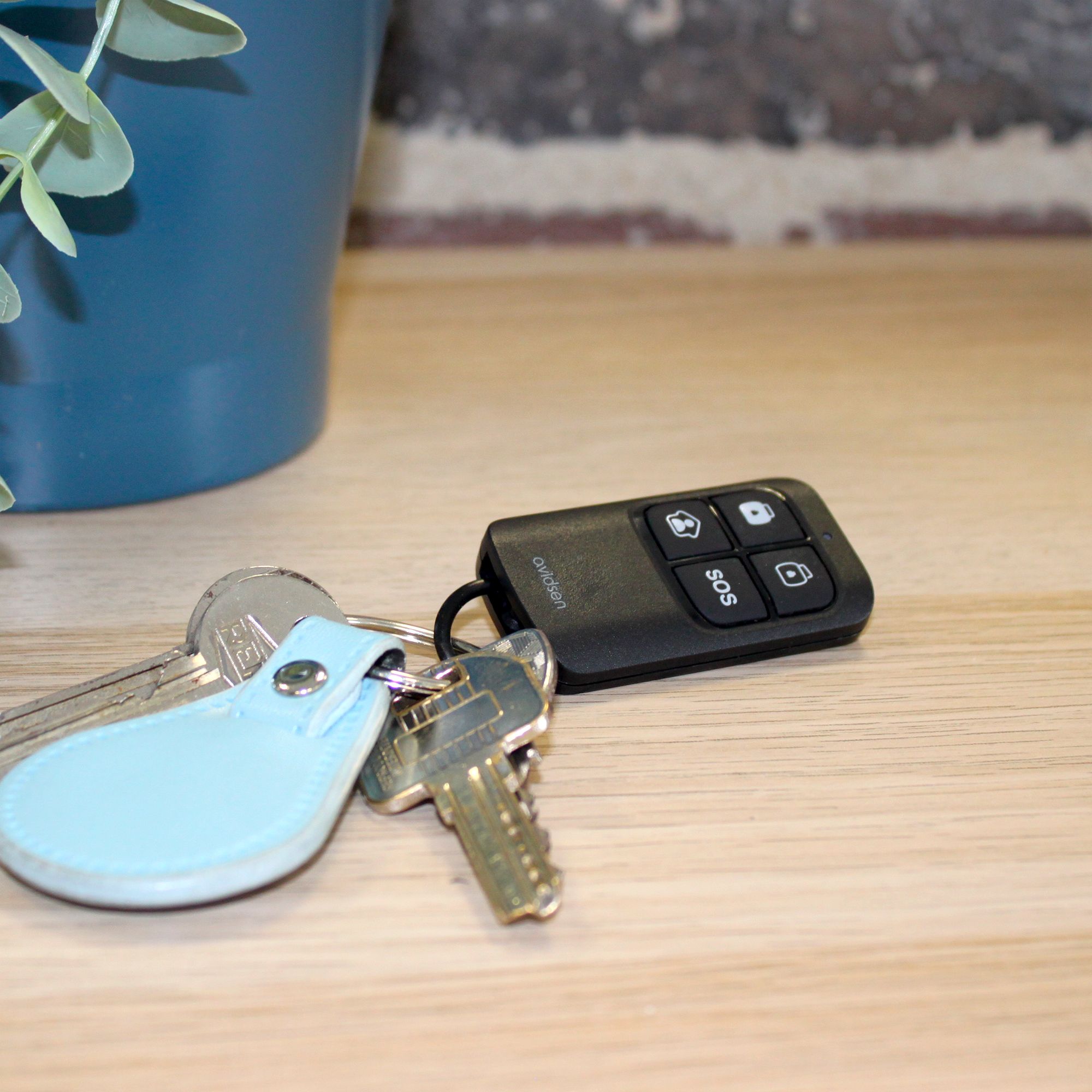 Scoprite il contenuto del kit